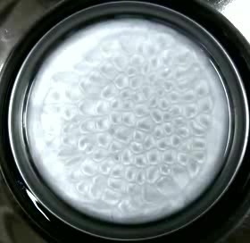 Thermal convection